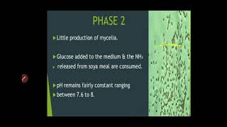 Asst.Prof.V.S.Aher:T.Y.B.Sc- Fermentation Technology II (MB 345) Lec- 48