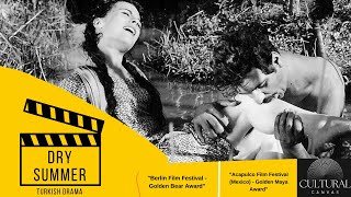 Dry Summer (Susuz Yaz): A Masterpiece of Turkish Cinema 1963