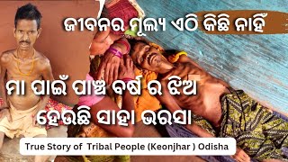 ଜୀବନର ମୂଲ୍ୟ ଏଠି କିଛି ନାହିଁ || True Story Of Tribal People, Keonjhar, Odisha || Help India