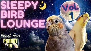 Sleepy Birb Lounge [Vol. 1] Calm Piano Music for Birds | Parrot Music TV for You