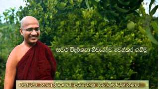 Nawalapitiye Ariyawansa Thero :::: Samatha vidarshana  niwaridiwa wen kara ganimu