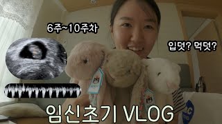 [임산부Vlog] 6~10주차 기록 | 임신초기 | 입덧도 먹덧도 아닌..| 옥수수30개 삶기 | 삼촌의 젤리캣 애착인형 선물