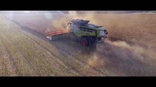 Claas Lexion 770 Terra Trac/Ernte 2019 [DJI Phantom 4, 4K]