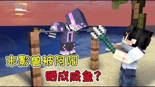 MC流浪者日记19：末影兽被阿阳晒成咸鱼？流浪者小队的真正任务！