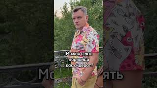 Конечно! Эксперт дал добро!