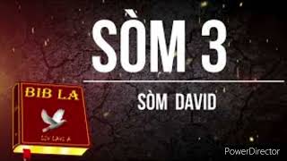 Som 3