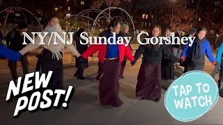 NY/NJ Sunday Gorshey #nytibetangorshey #tibetangorshey #tibetancircledance #dance #culture