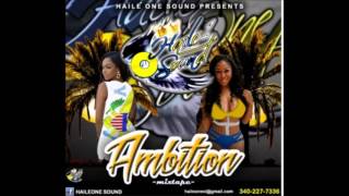 Haileone "Ambition" Reggae Dancehall Mix 2016