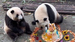 7.4 HuaYe Happy third birthday! 🎂❤️ Grandpa prepared a super beautiful birthday cake and decorations