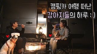 [온더밴] Ep.15 캠핑카 여행중 분위기 냈어요 ♡ | 난로, 발전기 구매 | 반려견 캠핑 | 힐링캠핑 | 편안한 캠핑 브이로그 | vanlife