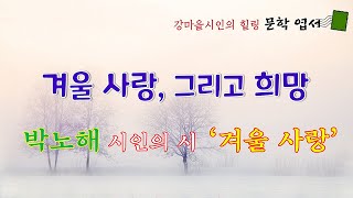 박노해 시 '겨울 사랑' / 떨리는 겨울 사랑, 그리고 희망 / 좋은 시 낭송, 감상 / 명상 / 사는 이야기[힐링 문학 영상]