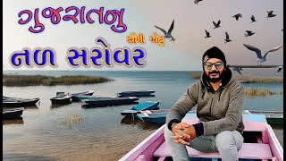 Nal Sarovar | Nal Sarovar Flamingo | Nalsarovar Bird Sanctuary 🐦🐦 Gujarat  @Gujaratgir