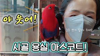 [쭌스맘vlog]발음 보소.. 사람인 줄!/힙한 시골 미용실/아기다리고기다리던 제주도 수학여행