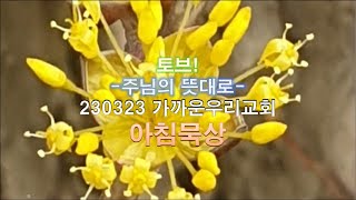 230323 가까운우리교회 아침묵상