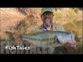 FishTales: Missed the Big One!