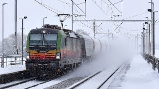 Zimní vlaky Pardubice-Opočínek - 2.12.2023 / Winter Trains in the Czech Republic