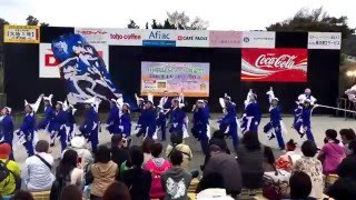 馬関奇兵隊 川棚温泉 舞龍祭