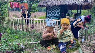 Daily life of a single mother raising a child alone: ​​cutting bamboo, making fences