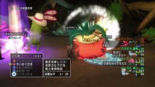 DQ10 やさい三銃士戦（仲間モンスター同盟クエスト）