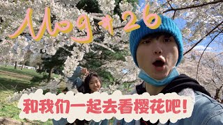 带你一起去华盛顿 DC 看樱花！！！『Vlog 26』