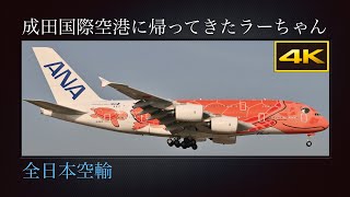 4K ハワイから冬の成田国際空港に帰ってきたラーちゃん : フライングホヌ 3号機  サンセットオレンジ  全日本空輸  Airbus A380-841  JA383A  2025年01月20日(月)