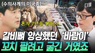 [#유퀴즈온더블럭] 고작 닭꼬치 먹이려고 사자를 굶겼다고?💢 7년 동안 학대받은 사자를 구조한 '수의사계의 이국종' 김정호 자기님