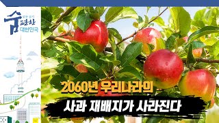 한국의 주요 생산 작물은 바나나가 될 것[맑은 공기, 숨 편한 대한민국] / YTN 사이언스