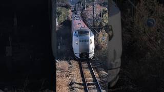 E259系横クラNe009編成［特急しおさい10号東京行　旭〜飯岡間撮影