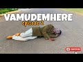 VAMUDEMHERE Episode 2