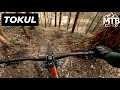 Seattle’s Best Spring MTB Trails - Tokul