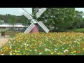 兵庫県立フラワーセンター　　５月の花