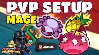 How To Setup Your Mage PVP Build In Legend Of Mushroom