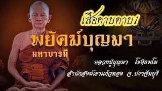 เสือคาบดาบรุ่น1หลวงปู่บุญมา