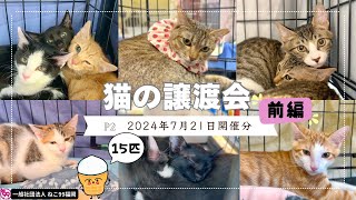 猫の譲渡会【2024年7月21日“前編”】ピーツー譲渡会場🎥目次付き（チャプター）で“推し猫”を見つけよう！幸せ探す15匹の猫たち🐾  ねこ99福岡