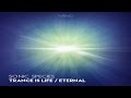 Sonic Species - Trance Is Life