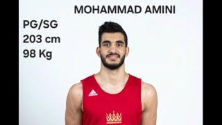 Mohammad AMINI - All Skills Videos detailed 2023-24