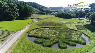 【宮崎空中散歩】＜高鍋町・田んぼアート＞2017年10月2日 放送分