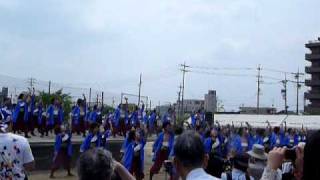 名古屋学生チーム「鯱」　犬山踊芸祭2010