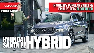 Worth the wait? 2023 Hyundai Santa Fe Hybrid review | Wheels Australia