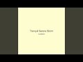 Tranquil Serene Storm