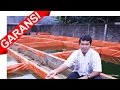 Download Teknik Sederhana Budidaya Ikan Lele dengan untung 36jt, Cara ternak lele / (082116224441) In Mp4 3Gp Full HD Video
