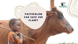 Pastoralism can save our planet