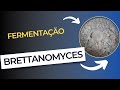 Fermentando Brettanomyces