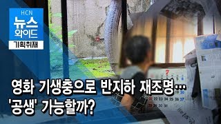 [기획취재] 영화 기생충으로 반지하 재조명…'공생' 가능할까? / 동작 현대HCN