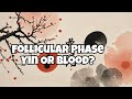 Chinese Medicine: Follicular Phase - Yin or Blood Only?