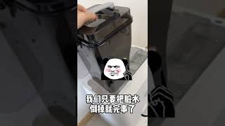 想象中的养猫VS现实中的养猫，这也太真实了吧~#shorts