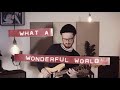 (Louis Armstrong) What a wonderful world - Jazz Fingerstyle Cover - Theo Kaiser