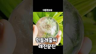 민들레홀씨문진/레진문진/레진아트/resinpaperweight/dandelion paperweight