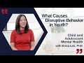 What are Disruptive Behavior Disorders? Part 13