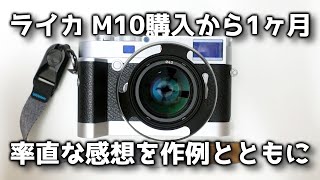 【作例多数】ライカ M10購入から1ヶ月、率直な感想を作例とともにお話します【長期レビュー1】